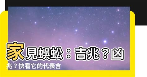 看 到 蜈蚣代表什麼|【看到蜈蚣代表什麼】家裡出現蜈蚣是吉兆還是凶兆？。